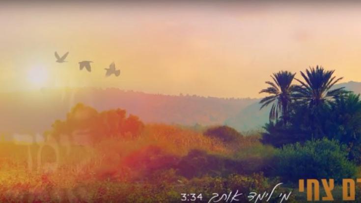 שיר חדש: מי לימד אותך