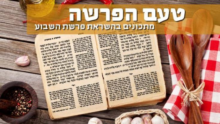 והשבת: עוגת מסעות בני ישראל במדבר!