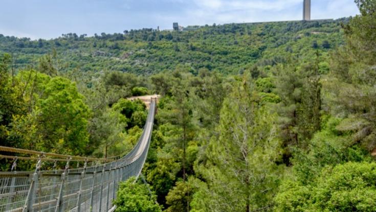 חוזרים לחום בהדרגה: קפיצה בטמפרטורות - עדיין קר מהרגיל