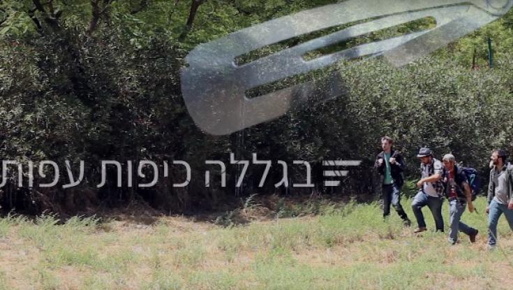 צפו: חדש לאנדרדוס - "בגללה כיפות עפות"