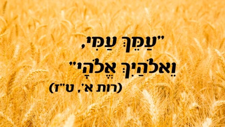 אמור לי מהי מדיניות הגיור הרצויה בעיניך, ואומר לך איך אתה תופס את הזהות היהודית שלך