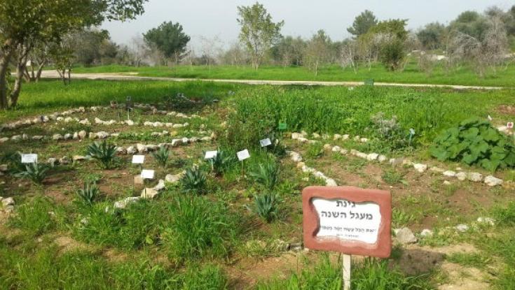להנות מפרחי הבר - הכניסה חופשית!