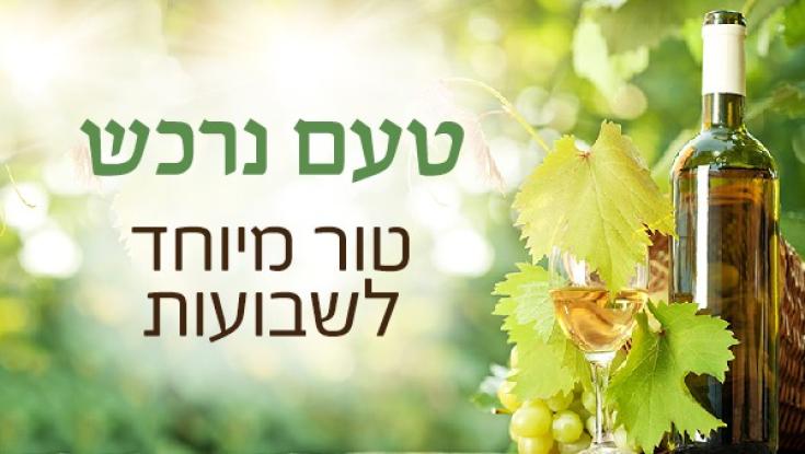 9 יינות שישתלבו לכם נהדר עם הגבינות בחג