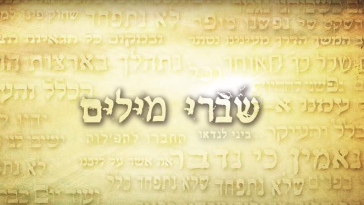 האזינו: חדש לביני לנדאו - "שברי מילים"