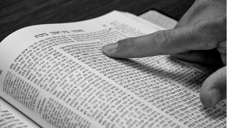 פרשת בחוקותי: האם מותר לגוי ללמוד תורה