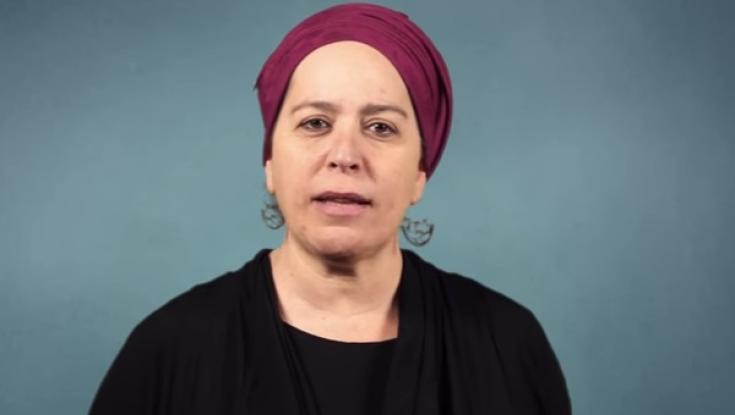 משלבת ידיים עם האליטות הישנות? דינה דיין פורשת ומעבירה את תמיכתה להרצוג