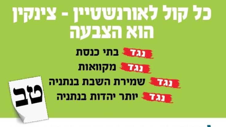 אחרי ההאשמות נגדה - רחלי צינקין מגיבה בזעם ל'בית היהודי'