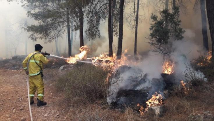 שריפה משתוללת ברחובות העיר בית שמש: העירייה נערכת לפינוי 