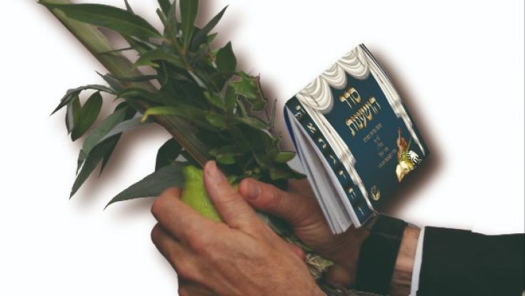 פטנט חדש יהפוך לכם את התפילה בסוכות לנוחה יותר