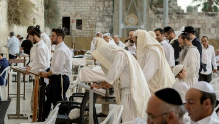 ויקהל- מלאכות שבת והמשכן