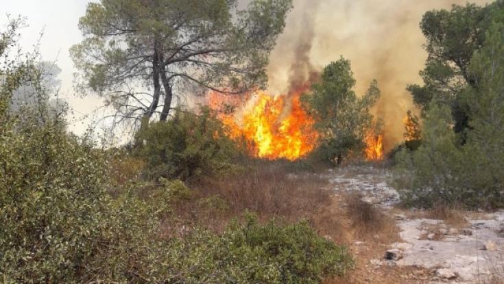 שריפות ברחבי הארץ: בתים פונו באזור הצפון