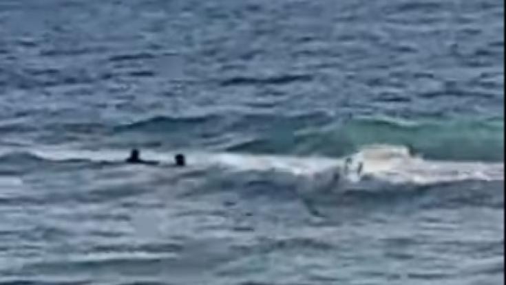 צפו: מציל חילץ שני בני אדם שטבעו בחוף הים בנתניה 