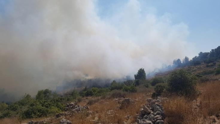 שריפה ביער סמוך לבית שמש: תושבים פונו מבתיהם