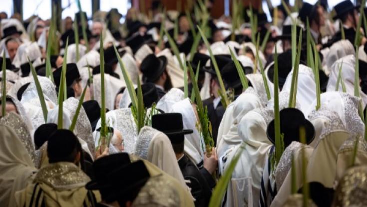 רבני צהר: מבודדים פטורים מסוכה, הקפות - ללא מגע