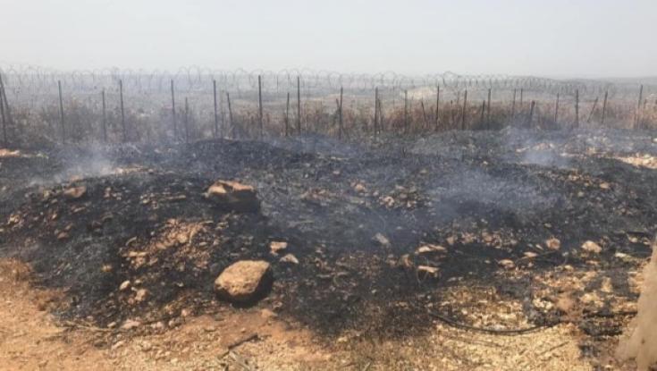 טרור ההצתות נמשך: מטע של כפר עציון הועלה באש