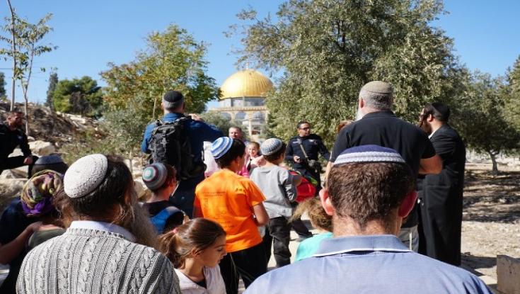מרגש: מספר שיא של עולים להר הבית ב-ט' באב