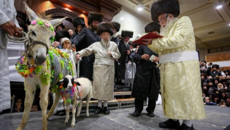 צפו: העז שענתה 'אמן' לרב הראשי