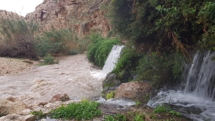 זרימות מדהימות בנחלי הצפון והדרום: צפו