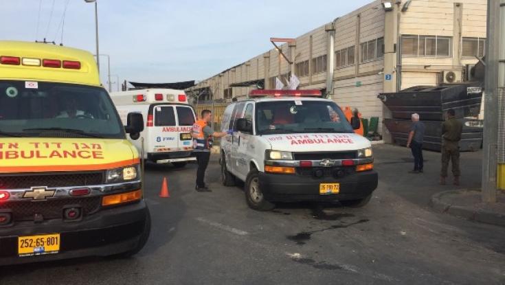 נלחמים בטרור: ערעורו של אח המחבל נדחה ועונשו הוחמר