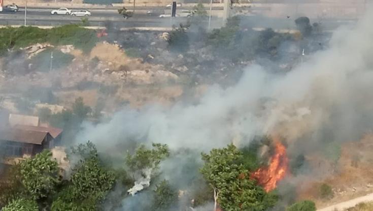 "האש התקרבה במהירות, הוצאנו את ספרי התורה וברחנו"