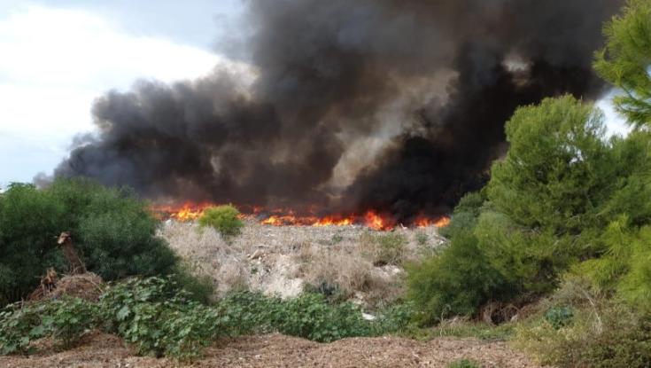 שרפה גדולה בשלומי, בתים ביישוב פונו