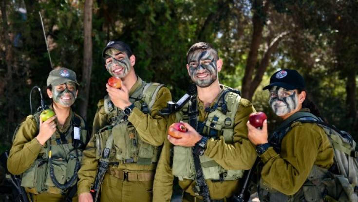 צה"ל נערך לראש השנה: כ-30 טון תפוחים