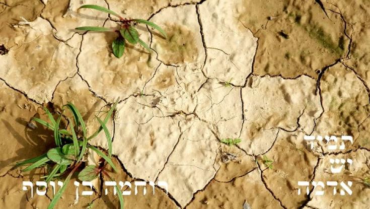 "תמיד יש אדמה": רוחמה בן יוסף משחררת סינגל חדש