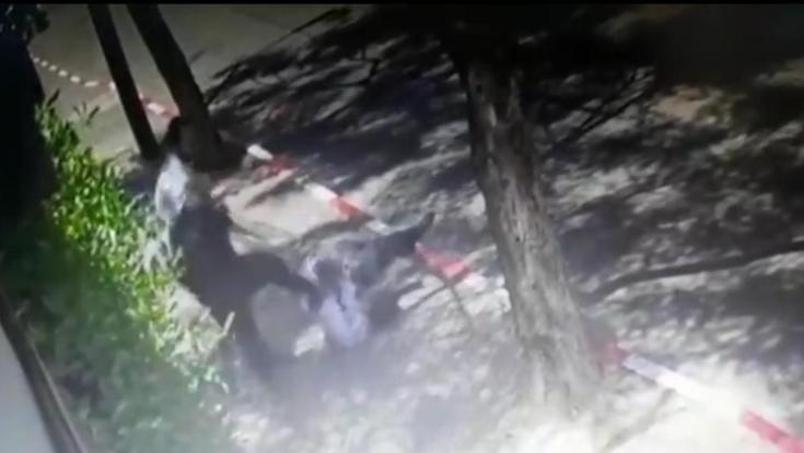 תיעוד מסעיר: מתנדב במשטרה תוקף רב בשל וויכוח על מסיכה