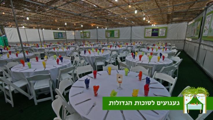 געגועים לסוכות הענק: הסוכה של בית הילד