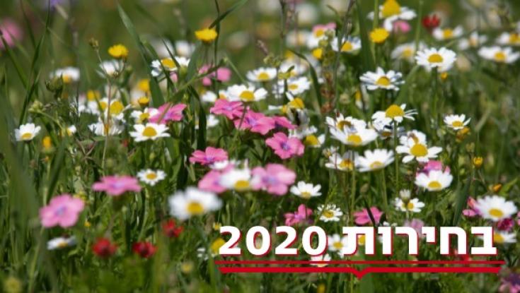 תחזית מזג האוויר ליום הבחירות: יום יפה, צאו להצביע!