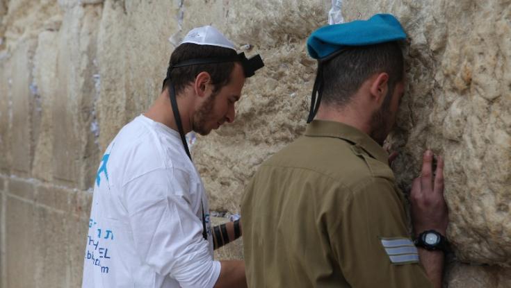 תגלית: אחרי הפסקה של שנה הפרויקט המצליח חוזר לישראל