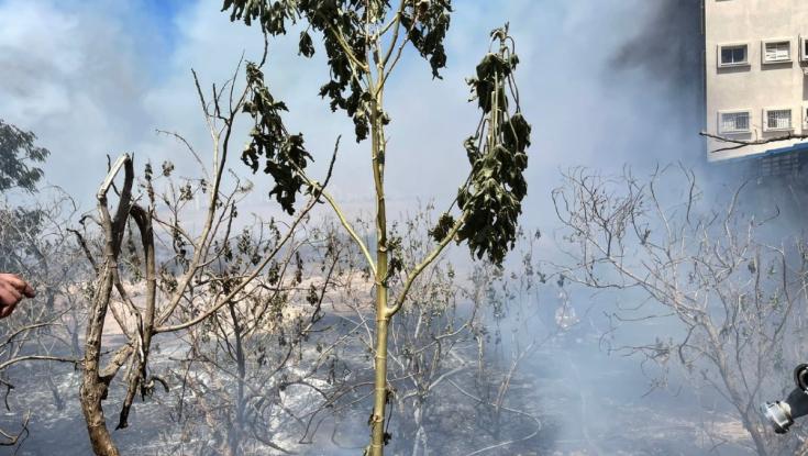אזור: שריפת קוצים גדולה סמוך לרחוב המצודה