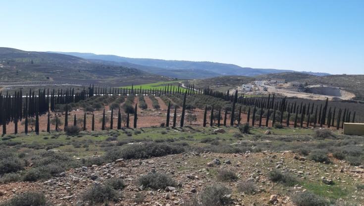 לבעלי הכרם בשילה הוצעה קרקע חלופית שנמצאת בשטח אסור ליהודים