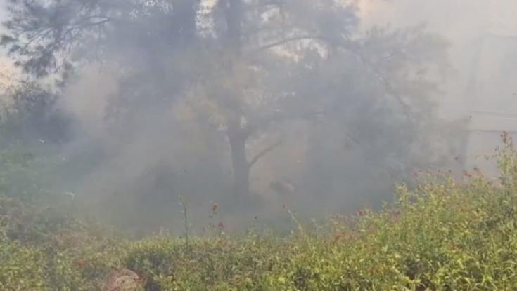 שריפה בחיפה: בניינים פונו אך הושגה שליטה על האש