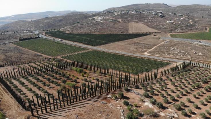גורם בשדולת ארץ ישראל על עקירת משק אחיה: "בני גנץ הפך לאגרונום"