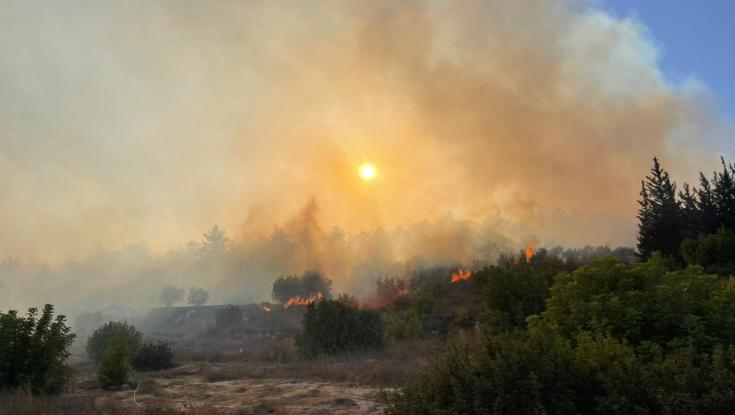 הלקוחות פונו והוחזרו: סניף איקאה הסמוך לשריפה במושב תרום - חזר לפעילות