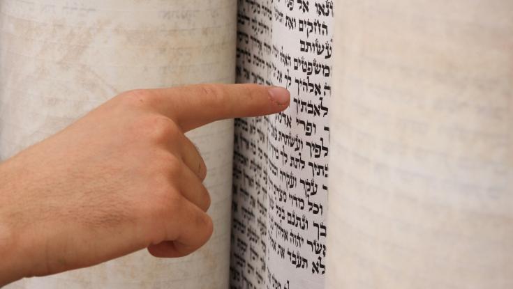 חודש חריג בעולם היהודי: זאת הסיבה שבחו"ל יקראו פרשה אחרת השבת