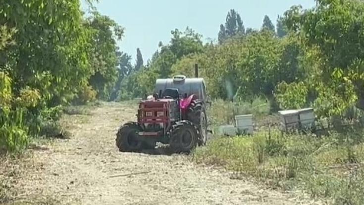 פגע בכוורת ונעקץ על ידי נחיל דבורים - מותו נקבע במקום