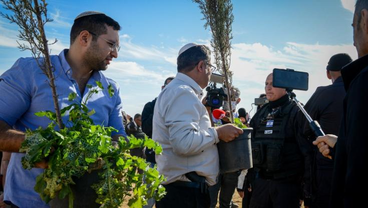 הנהלת קק"ל אישרה בשיחה טלפונית את הנטיעות בנגב