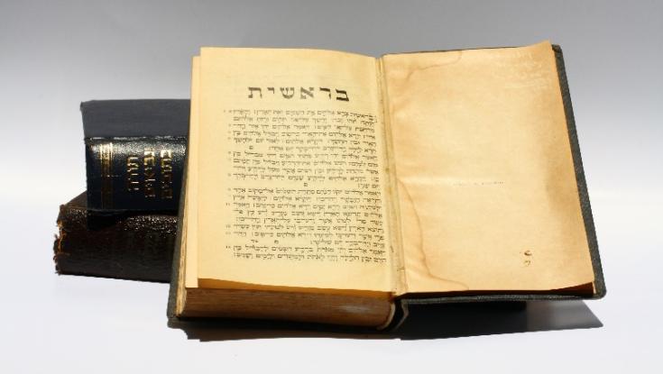 פרשת בראשית: וַיֹּאמֶר הַנָּחָשׁ אֶל הָאִשָּׁה לֹא מוֹת תְּמֻתוּן