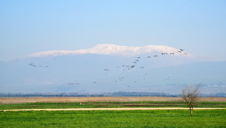 "וַעֲנֵנוּ בּוֹרֵא עוֹלָם" | חם מהרגיל ללא גשם באופק: תחזית מזג האוויר