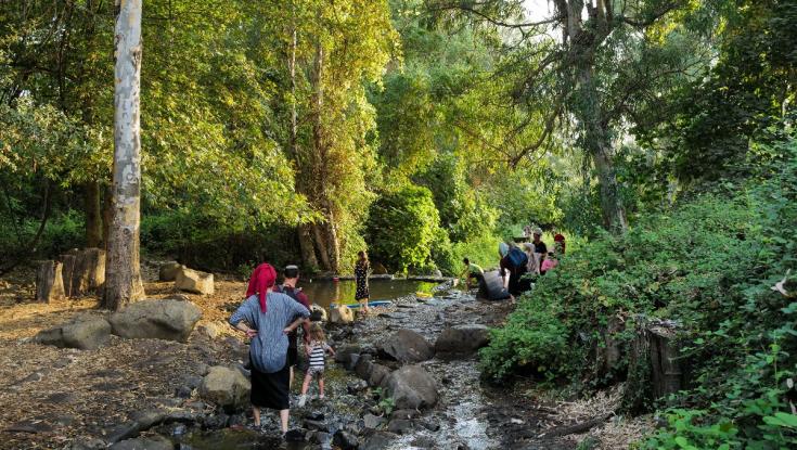 לפני ההכבדה: הקלה בעומסי החום | תחזית מזג האוויר