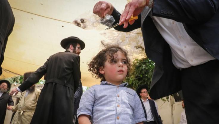 ח"כ אבוטבול על החלאקה במירון: " לפי שעות ובתיאום מראש"
