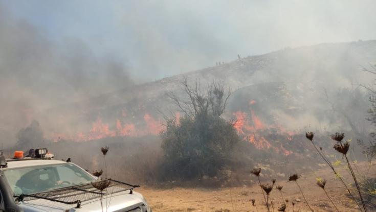 יצהר: שריפת ענק סמוך לישוב - בתים בשכונת תקומה פונו