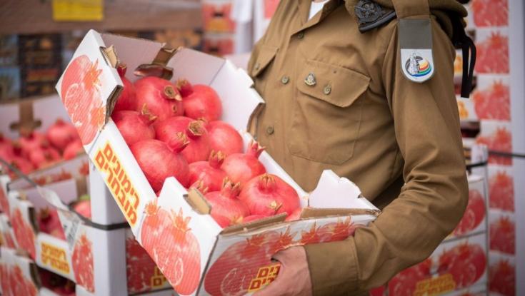 הושלמו ההכנות בצה"ל לקראת חגי תשרי: 7.2 טונות דבש יסופקו לחיילים