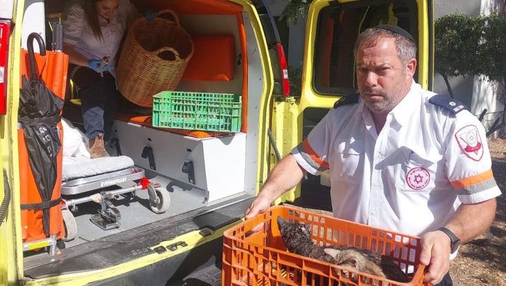 זו ההפתעה שציפתה לצוות מד"א שהוזעק לשריפה