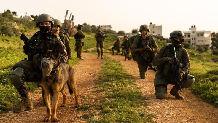לאור יום: 13 מבוקשים נעצרו בפעילות כוחות צה"ל ברחבי יהודה ושומרון