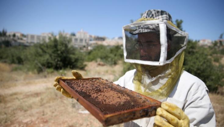 חברת פודטק ישראלית דיווחה על פריצת דרך עולמית והמנייה נוסקת