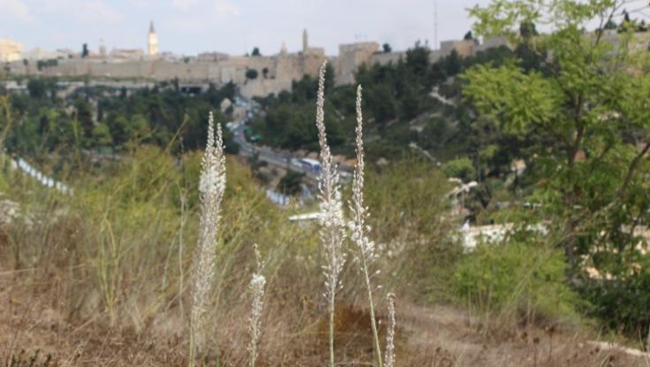 תחזית מזג האוויר: עדיין חם - הגשם בדרך