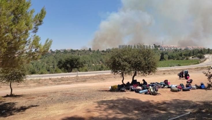 בעקבות השריפה בשורש: מחנה הקיץ של אריאל עבר ליער קק"ל